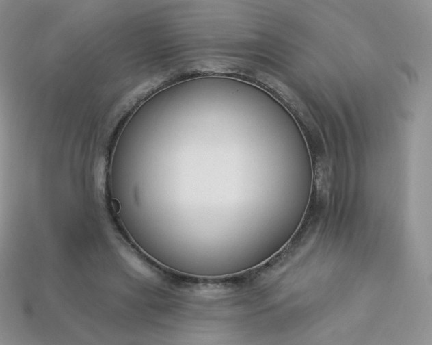 X0000114160445200910221612