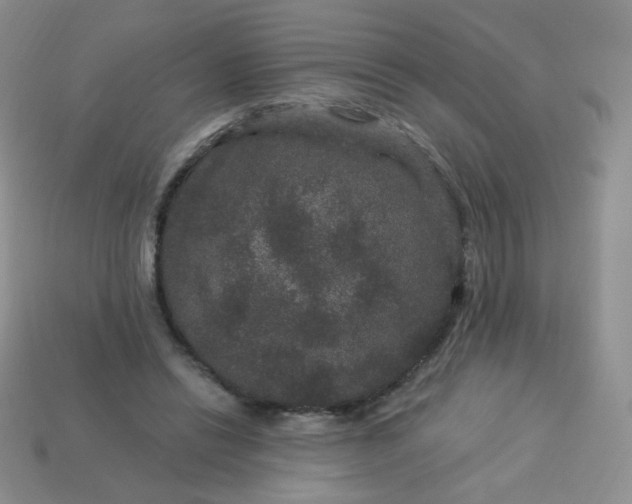 X0000114160446200910221612