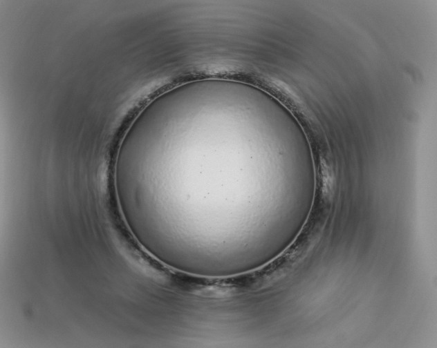 X0000114160447200910221612