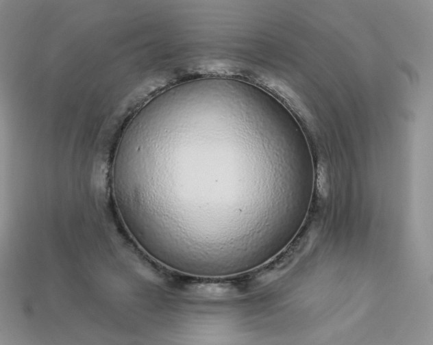 X0000114160449200910221612