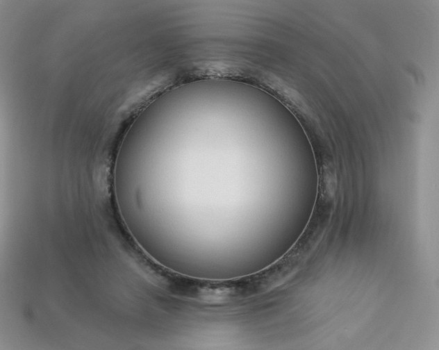 X0000114160450200910221612