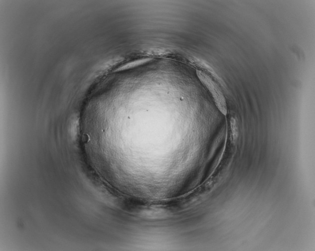 X0000114160451200910221612