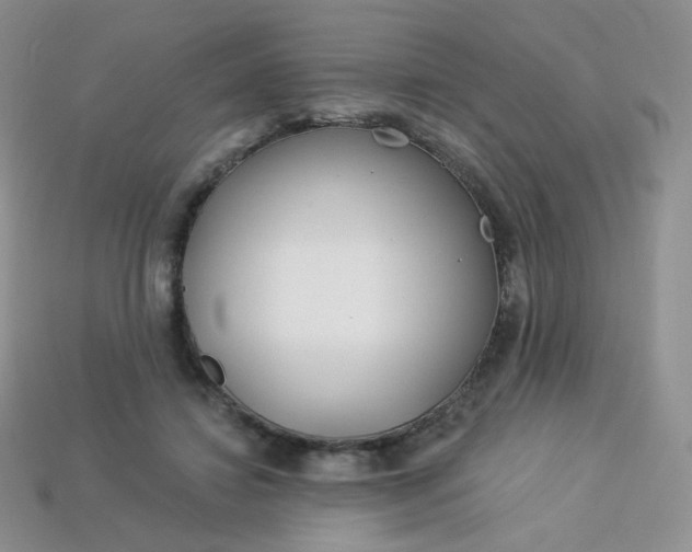 X0000114160452200910221612