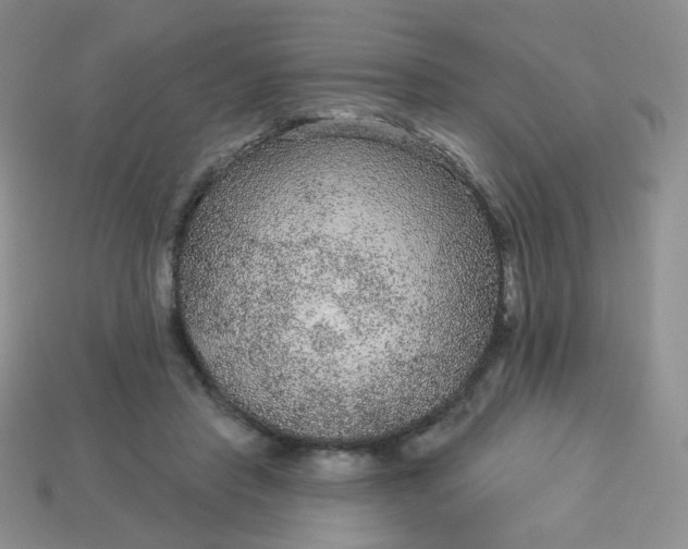 X0000114160453200910221612