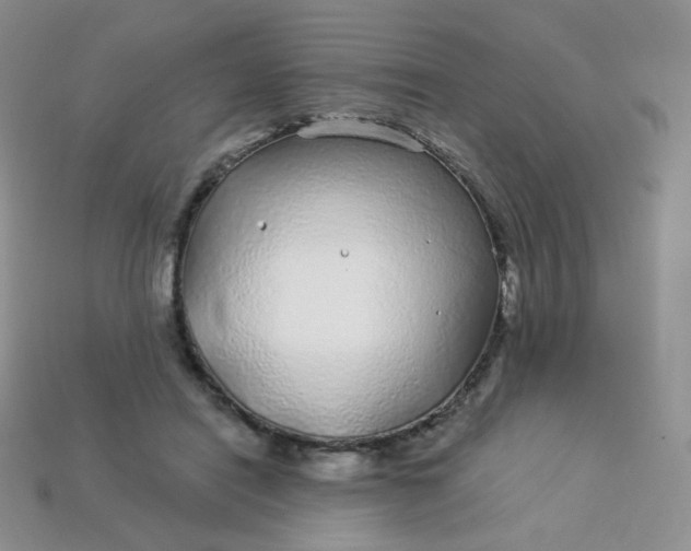 X0000114160454200910221612