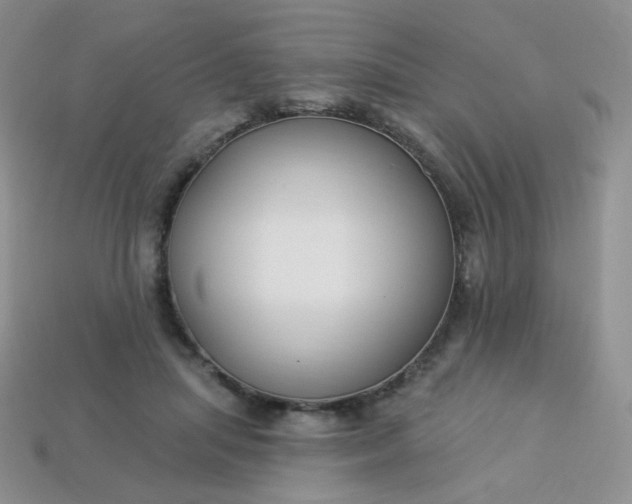 X0000114160455200910221612