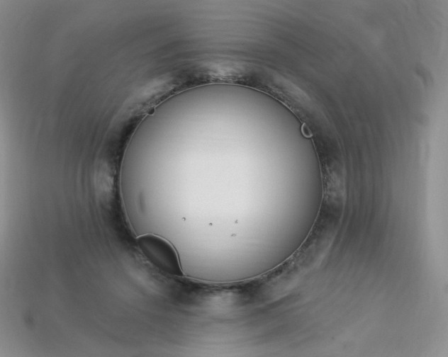 X0000114160456200910221612