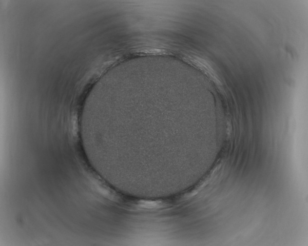 X0000114160457200910221612