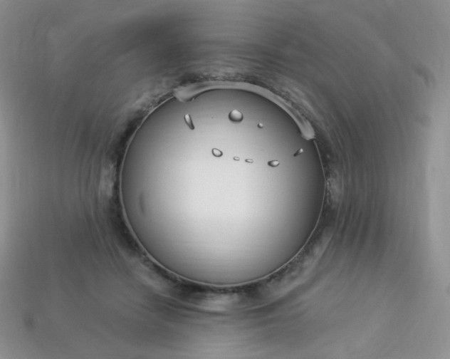 X0000114160458200910221612