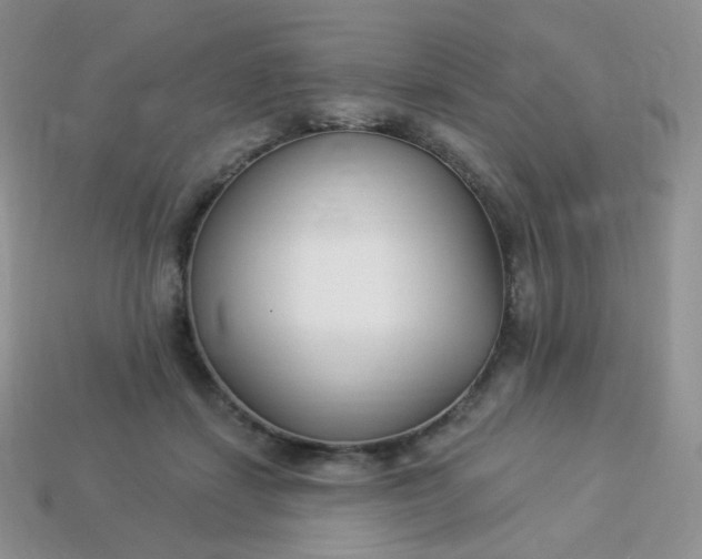 X0000114160459200910221612