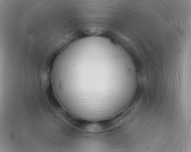 X0000114160460200910221612