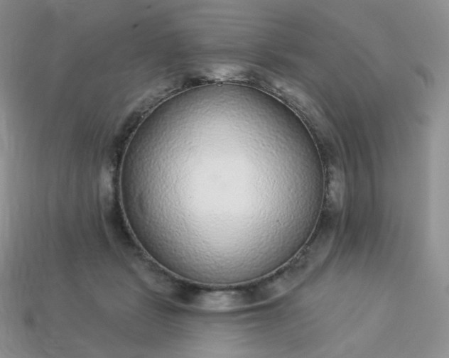 X0000114160461200910221612