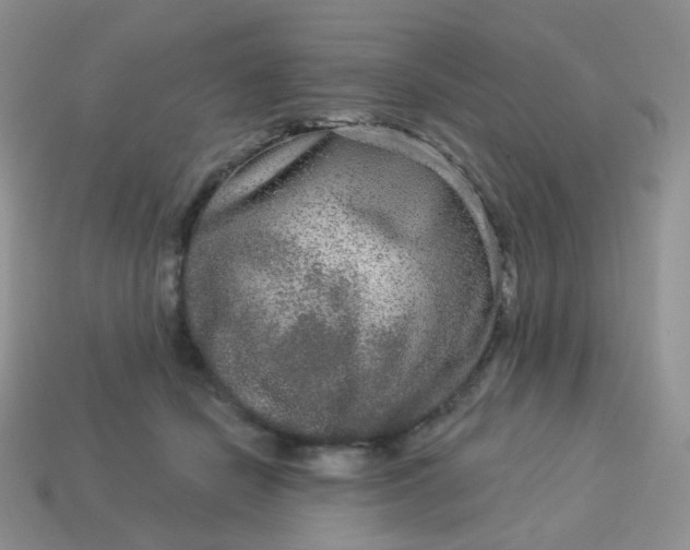 X0000114160462200910221612