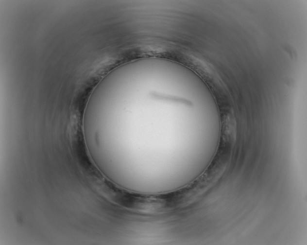 X0000114160463200910221612