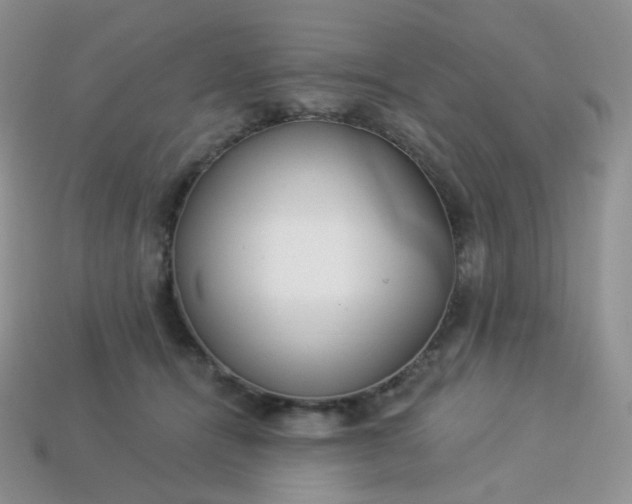 X0000114160464200910221612