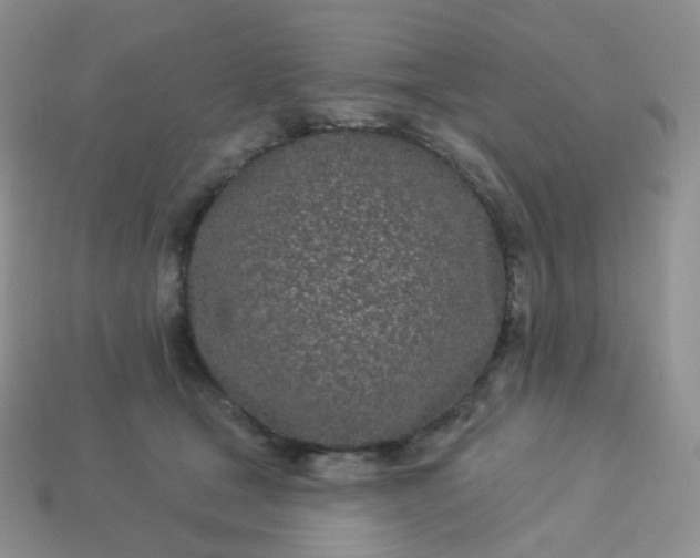 X0000114160465200910221612