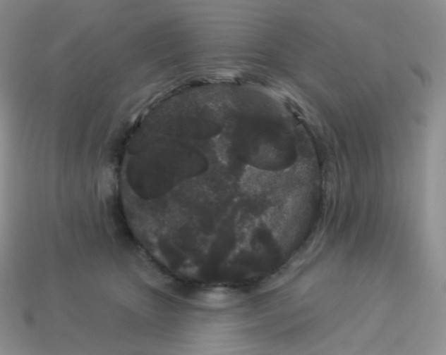 X0000114160467200910221612