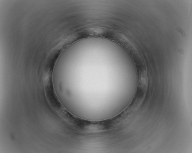 X0000114160468200910221612