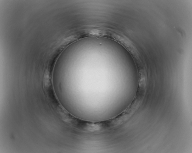 X0000114160469200910221612