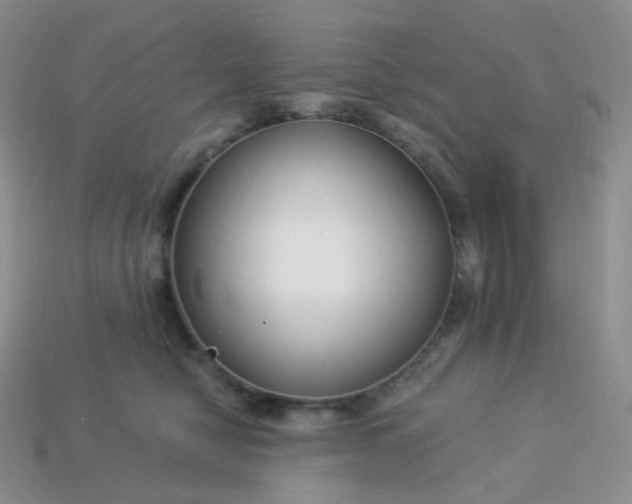 X0000114160470200910221612