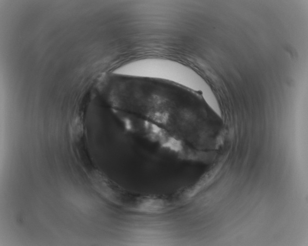 X0000114160471200910221612