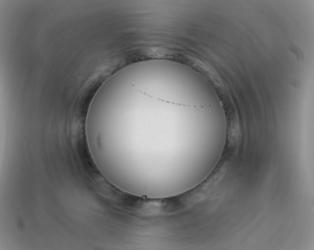 X0000114160473200910221612