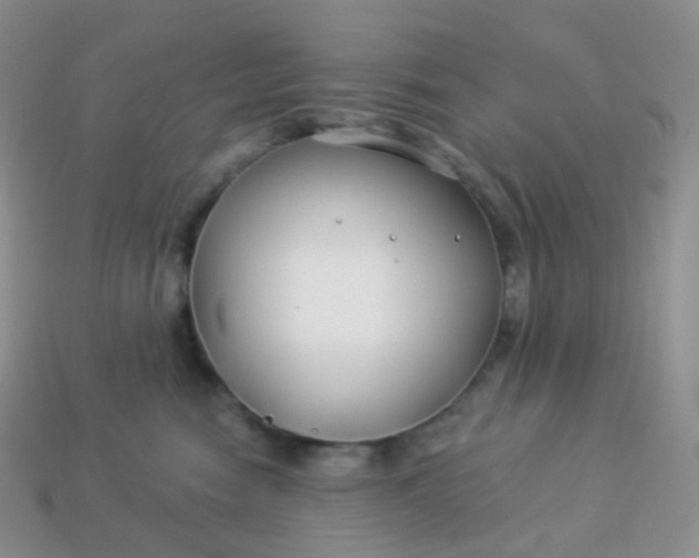 X0000114160474200910221612