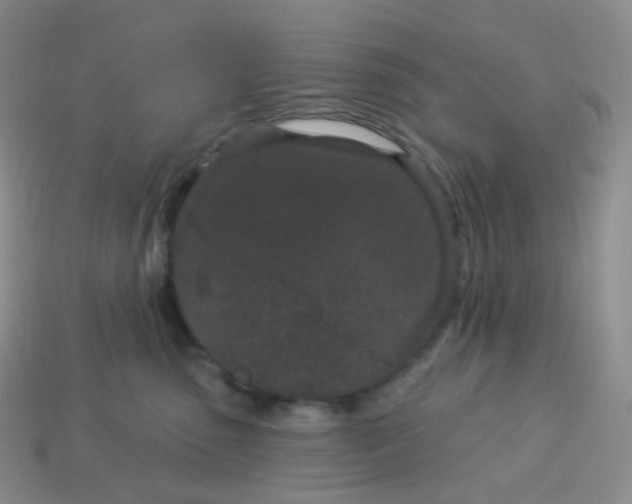 X0000114160475200910221612