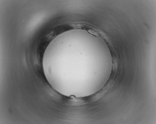 X0000114160477200910221612