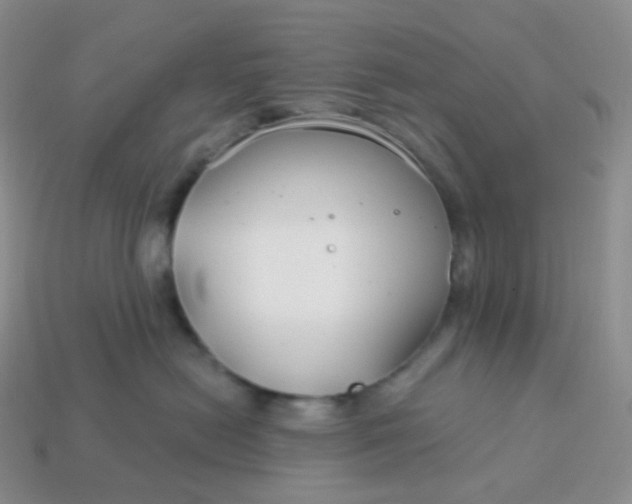 X0000114160478200910221612