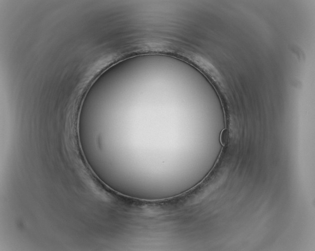 X0000114160481200910221611