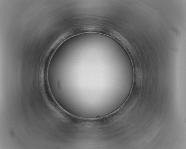 X0000114160482200910221611