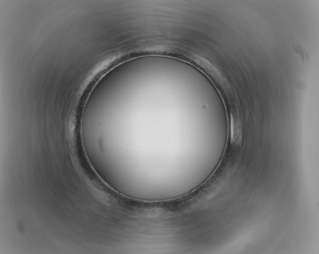 X0000114160483200910221611