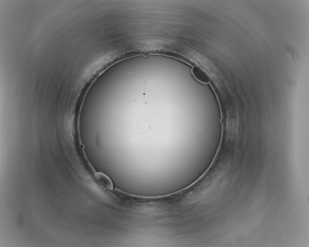 X0000114160485200910221611