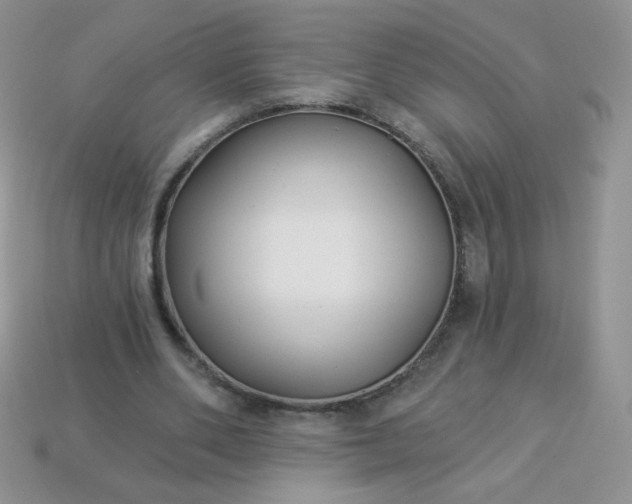 X0000114160486200910221611