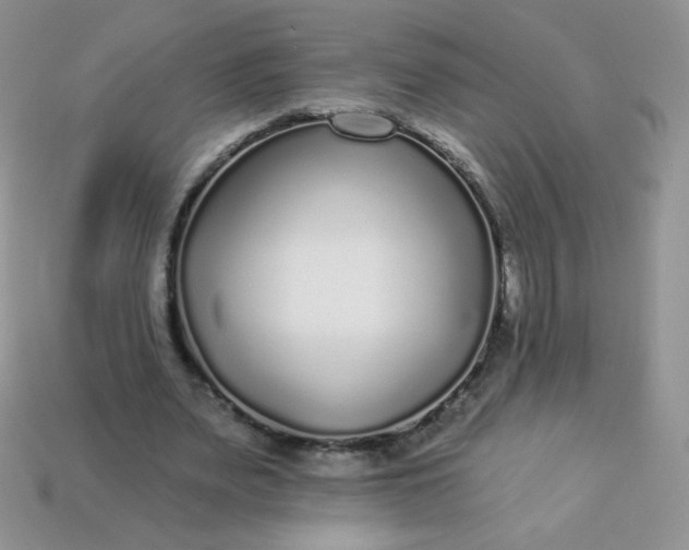 X0000114160487200910221611