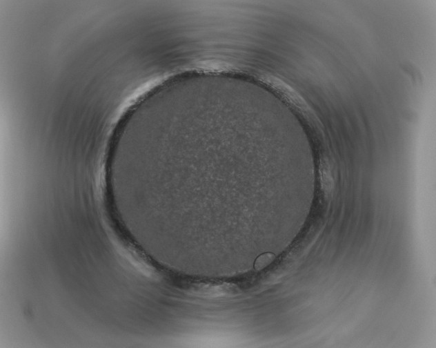 X0000114160488200910221611