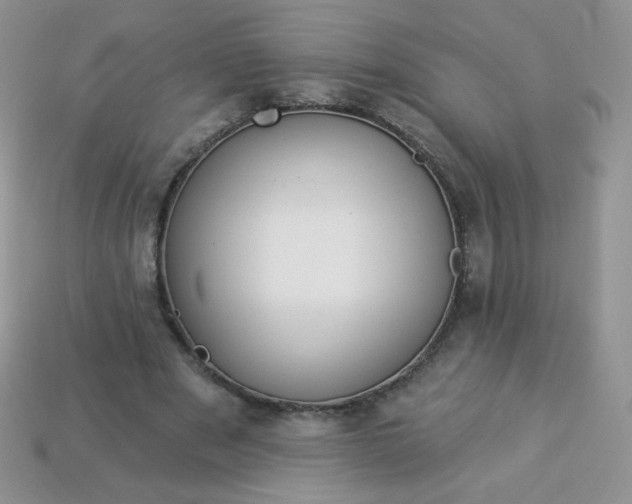 X0000114160489200910221611