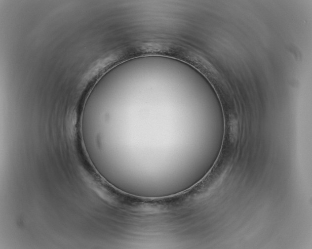 X0000114160490200910221611