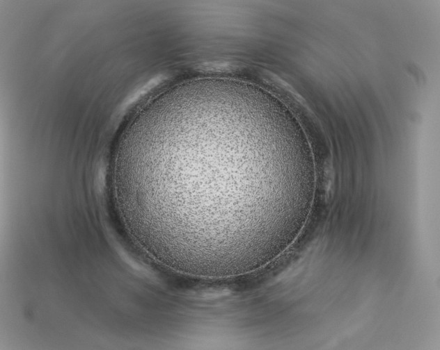 X0000114160491200910221611