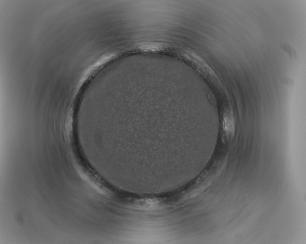 X0000114160492200910221611