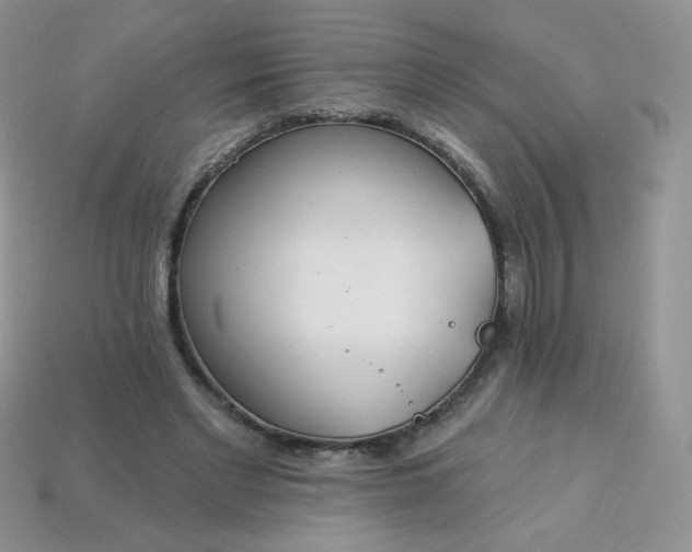 X0000114160493200910221611