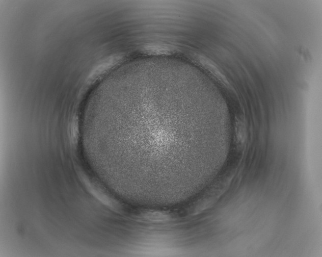 X0000114160494200910221611