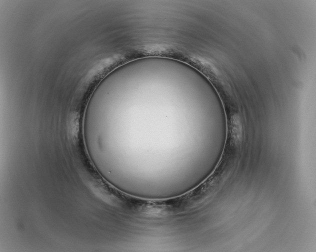 X0000114160495200910221611