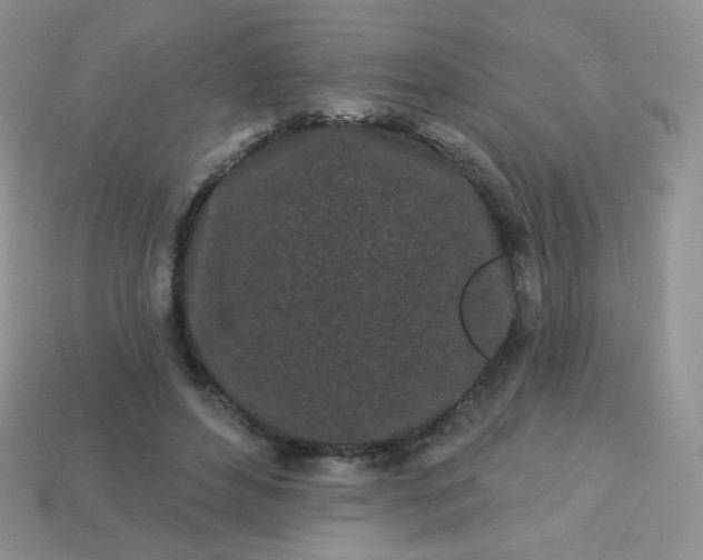 X0000114160496200910221611