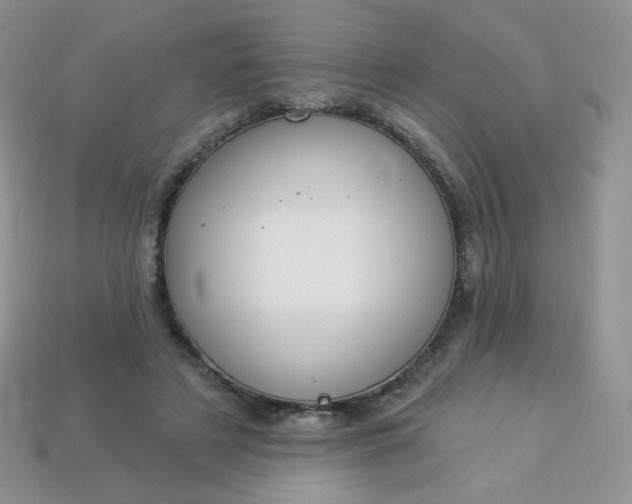 X0000114160497200910221611