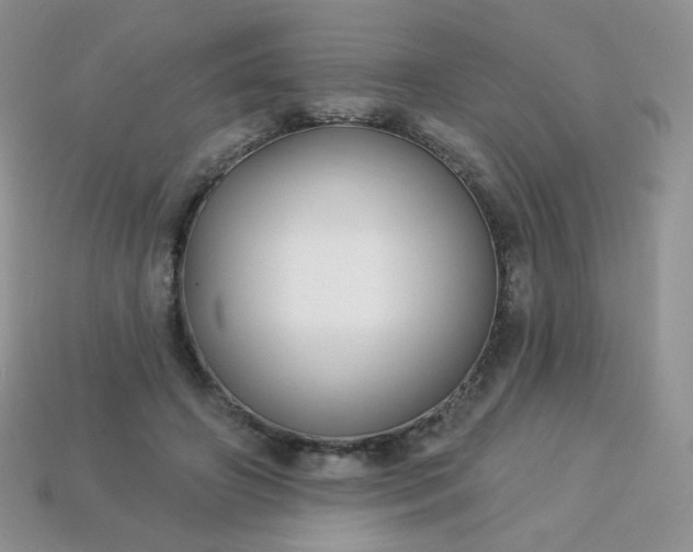 X0000114160498200910221611