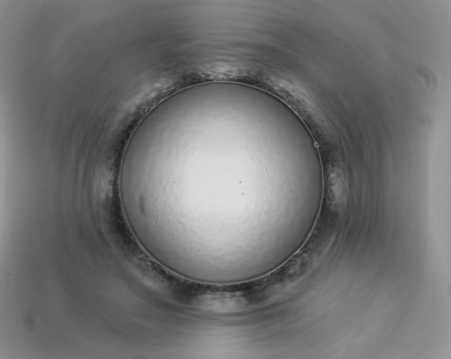 X0000114160499200910221611