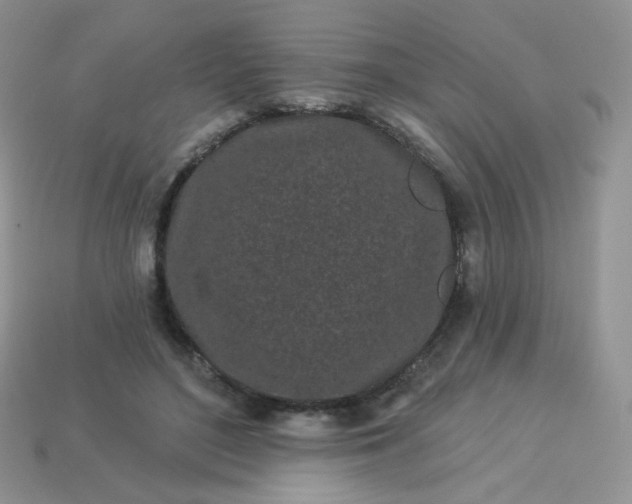 X0000114160500200910221611