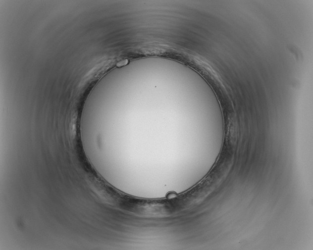 X0000114160501200910221611